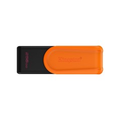 Kingston DataTraveler 256GB Portable